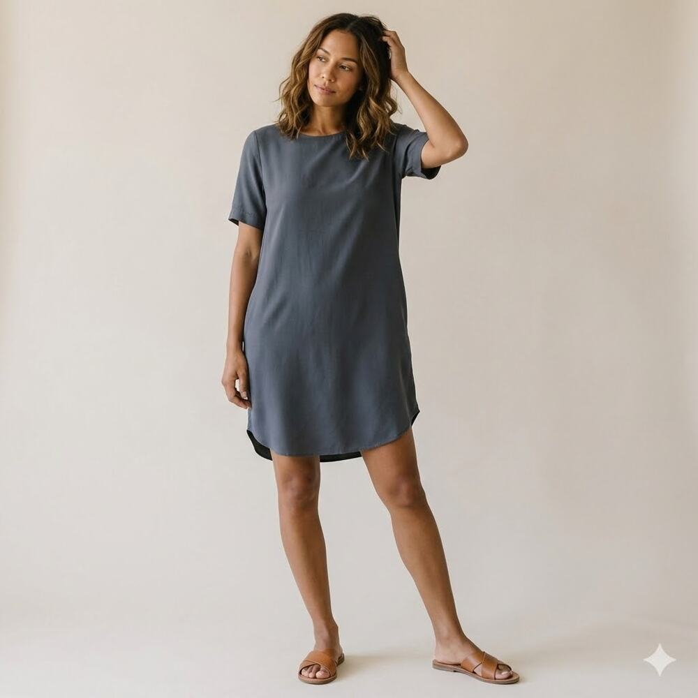Nouvelle Silk 95 Five‎ Gray Washable Silk Berlin Mini Dress Women's S